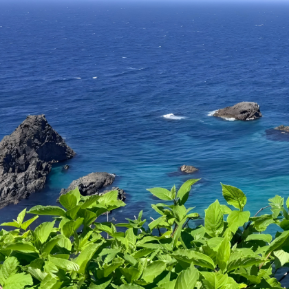 日本北海道札幌4日3晚跟团游 日本北海道札幌4日3晚跟团游