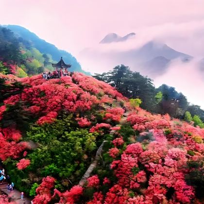 毕节+阿西里西大草原+阿西里西韭菜坪+织金洞+平远古镇+吊水岩瀑布+9洞18河景区+百里杜鹃风景区6日5晚私家团 毕节+阿西里西大草原+阿西里西韭菜坪+织金洞+平远古镇+吊水岩瀑布+9洞18河景区+百里杜鹃风景区6日5晚私家团