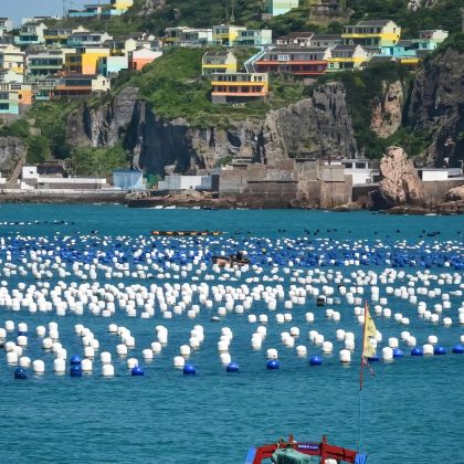 浙江嵊泗枸杞岛3日2晚拼小团 浙江嵊泗枸杞岛3日2晚拼小团