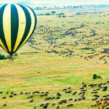 肯尼亚13日11晚私家团 肯尼亚13日11晚私家团