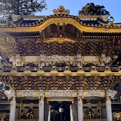 日本东京9日8晚自由行 日本东京9日8晚自由行