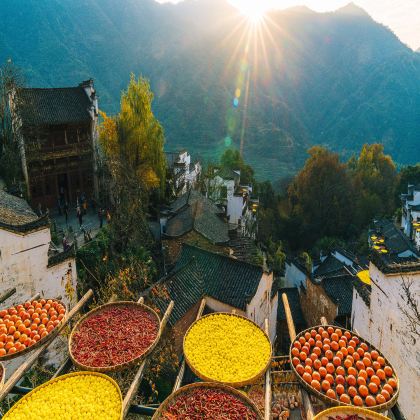 黄山+宏村景区+新安江山水画廊+徽州古城+九华山风景区+婺源篁岭景区+千岛湖景区8日7晚跟团游 黄山+宏村景区+新安江山水画廊+徽州古城+九华山风景区+婺源篁岭景区+千岛湖景区8日7晚跟团游