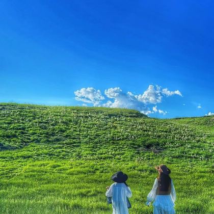 成都+若尔盖+九寨沟+四姑娘山6日5晚私家团 成都+若尔盖+九寨沟+四姑娘山6日5晚私家团