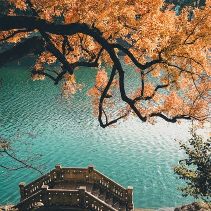 宁波+溪口-滕头旅游景区3日2晚跟团游 宁波+溪口-滕头旅游景区3日2晚跟团游