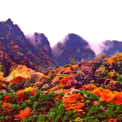 巴中+光雾山旅游景区+燕子岩+米仓山国家森林公园+米仓古道+恩阳古镇+北龛摩崖造像+光雾山小巫峡景区+琉璃寺6日5晚私家团 巴中+光雾山旅游景区+燕子岩+米仓山国家森林公园+米仓古道+恩阳古镇+北龛摩崖造像+光雾山小巫峡景区+琉璃寺6日5晚私家团