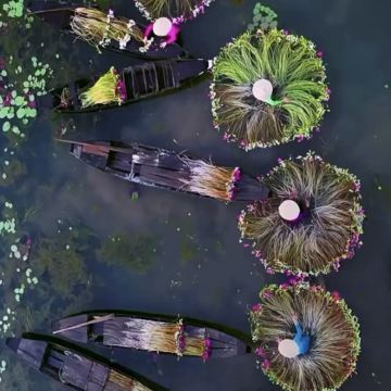 柬埔寨吴哥窟+越南岘港美山圣地世界文化遗产+会安+顺化+胡志明市12日11晚拼小团 柬埔寨吴哥窟+越南岘港美山圣地世界文化遗产+会安+顺化+胡志明市12日11晚拼小团