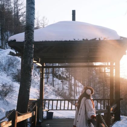 漠河+北极村2日1晚拼小团 漠河+北极村2日1晚拼小团