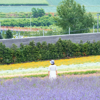 日本北海道8日私家团 日本北海道8日私家团