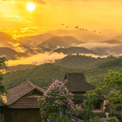 普洱+景迈山茶林文化景区5日4晚私家团 普洱+景迈山茶林文化景区5日4晚私家团