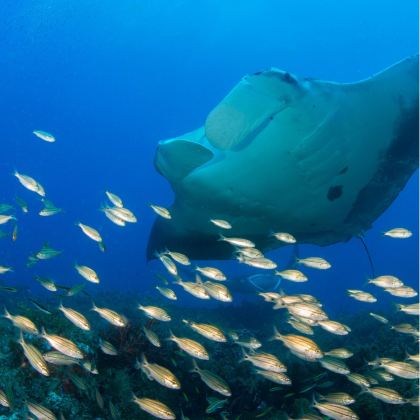 雅加达首都特区+日惹特区+巴厘岛9日8晚私家团 雅加达首都特区+日惹特区+巴厘岛9日8晚私家团