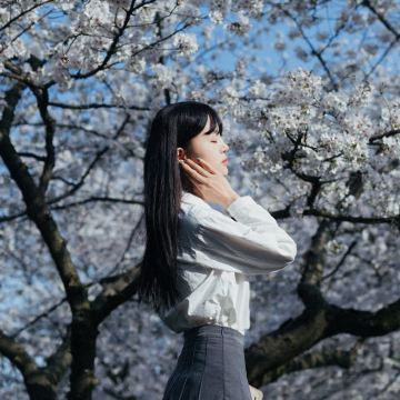 武汉+黄鹤楼+长江三峡+三峡大坝旅游区4日3晚跟团游 武汉+黄鹤楼+长江三峡+三峡大坝旅游区4日3晚跟团游