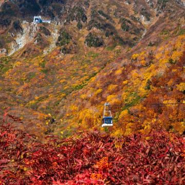 日本名古屋+金泽+高山市+白川乡7日6晚私家团 日本名古屋+金泽+高山市+白川乡7日6晚私家团