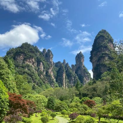 长沙+张家界+天门山+大峡谷+凤凰古城12日11晚私家团 长沙+张家界+天门山+大峡谷+凤凰古城12日11晚私家团