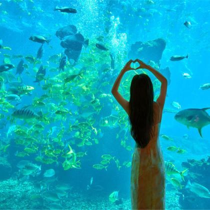 海口+澄迈+棋子湾+三亚6日5晚私家团 海口+澄迈+棋子湾+三亚6日5晚私家团