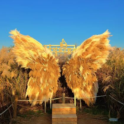 韩国6日5晚拼小团 韩国6日5晚拼小团