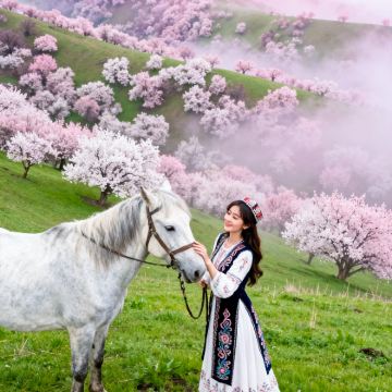 新疆北疆+乌鲁木齐8日7晚跟团游 新疆北疆+乌鲁木齐8日7晚跟团游