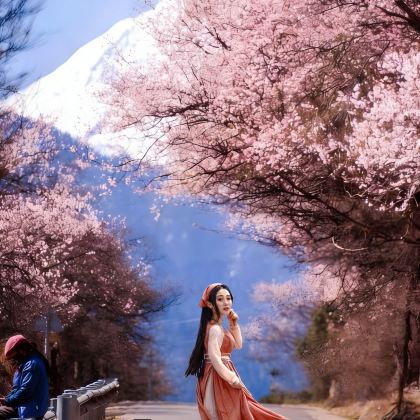 拉萨+林芝+布达拉宫+雅鲁藏布江+羊湖7日6晚跟团游 拉萨+林芝+布达拉宫+雅鲁藏布江+羊湖7日6晚跟团游