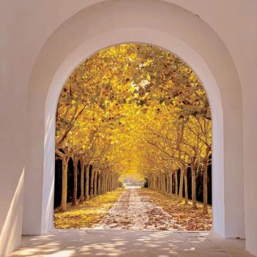 扬州+淮安5日4晚私家团 扬州+淮安5日4晚私家团