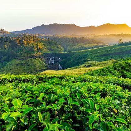 斯里兰卡8日7晚私家团 斯里兰卡8日7晚私家团