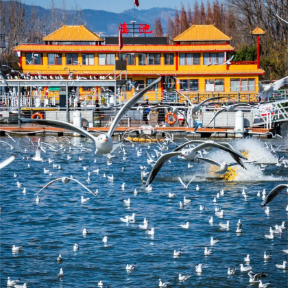 昆明+抚仙湖+建水+元阳+普者黑风景区+弥勒6日5晚自由行 昆明+抚仙湖+建水+元阳+普者黑风景区+弥勒6日5晚自由行