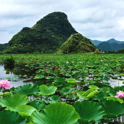 昆明+抚仙湖+建水+元阳+蒙自+坝美世外桃源景区+普者黑景区+弥勒6日5晚跟团游