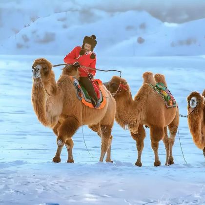 北京+承德+坝上+乌兰布统5日4晚跟团游 北京+承德+坝上+乌兰布统5日4晚跟团游