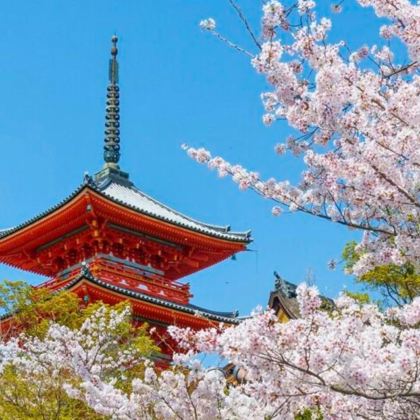 日本大阪+京都+奈良+神户+和歌山市6日5晚自由行 日本大阪+京都+奈良+神户+和歌山市6日5晚自由行