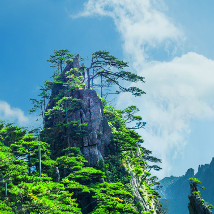 黄山风景区3日2晚私家团 黄山风景区3日2晚私家团