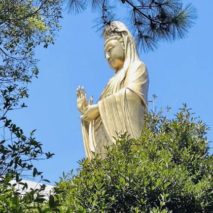 普陀山风景区+洛迦山3日2晚自由行 普陀山风景区+洛迦山3日2晚自由行