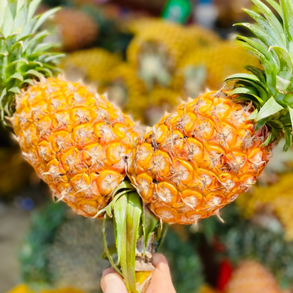 湛江+中国大陆南极村5日4晚跟团游 湛江+中国大陆南极村5日4晚跟团游