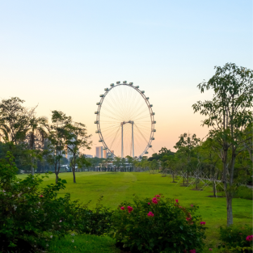 新加坡+刁曼岛6日5晚私家团 新加坡+刁曼岛6日5晚私家团