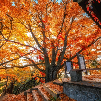汉中+光雾山+米仓山国家森林公园+十八月潭景区3日2晚私家团 汉中+光雾山+米仓山国家森林公园+十八月潭景区3日2晚私家团