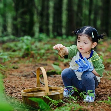 芒市+腾冲+瑞丽6日5晚拼小团 芒市+腾冲+瑞丽6日5晚拼小团