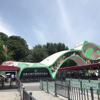 成都大熊猫繁育研究基地+蜀南竹海+自贡方特恐龙王国+乐山大佛7日6晚私家团 成都大熊猫繁育研究基地+蜀南竹海+自贡方特恐龙王国+乐山大佛7日6晚私家团