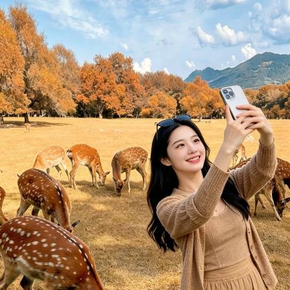 伊春6日5晚私家团 伊春6日5晚私家团
