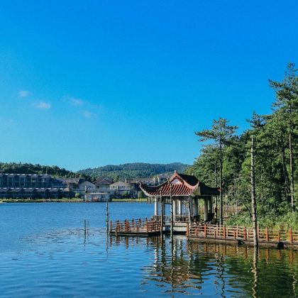 江西宜春+宜春明月山旅游区+南惹村+仰山栖隐禅寺3日2晚跟团游 江西宜春+宜春明月山旅游区+南惹村+仰山栖隐禅寺3日2晚跟团游