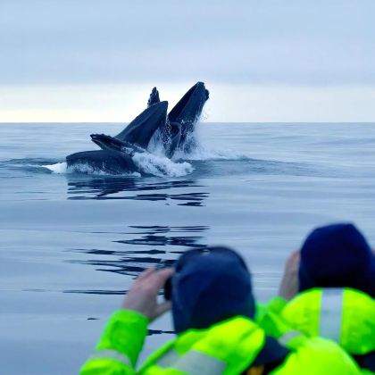 芬兰7日6晚私家团 芬兰7日6晚私家团