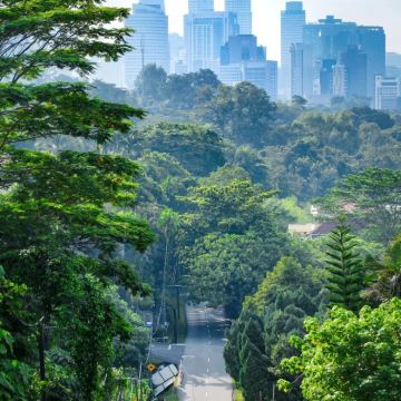 马来西亚吉隆坡+沙巴+泰国曼谷9日8晚跟团游 马来西亚吉隆坡+沙巴+泰国曼谷9日8晚跟团游