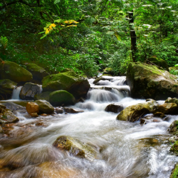 芒市+瑞丽+腾冲6日5晚跟团游 芒市+瑞丽+腾冲6日5晚跟团游