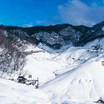 日本北海道旭川+知床国立公园+阿寒湖+十胜川温泉8日7晚私家团 日本北海道旭川+知床国立公园+阿寒湖+十胜川温泉8日7晚私家团
