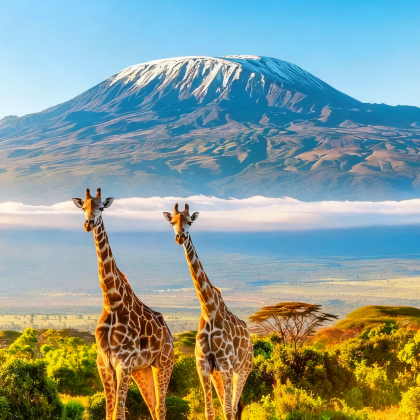 乌干达+卢旺达+肯尼亚+坦桑尼亚+埃塞俄比亚+博茨瓦纳+津巴布韦+纳米比亚+赞比亚33日30晚跟团游 乌干达+卢旺达+肯尼亚+坦桑尼亚+埃塞俄比亚+博茨瓦纳+津巴布韦+纳米比亚+赞比亚33日30晚跟团游