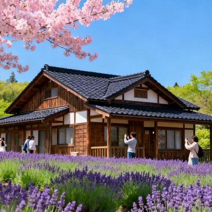 日本东京+北海道10日9晚拼小团 日本东京+北海道10日9晚拼小团