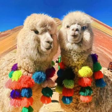 秘鲁库斯科+马丘比丘+的的喀喀湖8日6晚私家团 秘鲁库斯科+马丘比丘+的的喀喀湖8日6晚私家团