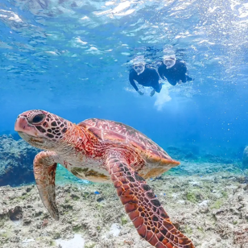 日本宫古岛5日4晚拼小团 日本宫古岛5日4晚拼小团