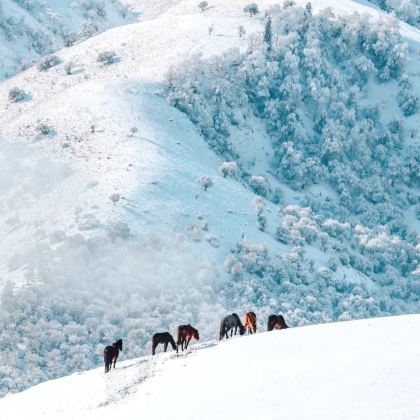 新疆乌鲁木齐8日7晚私家团 新疆乌鲁木齐8日7晚私家团