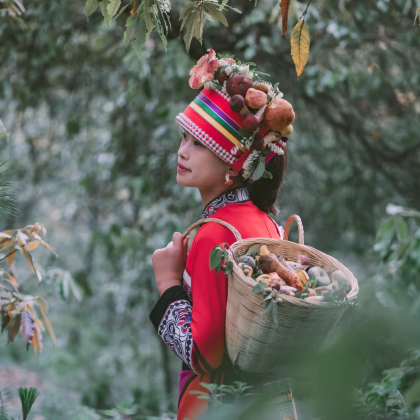 云南昆明+大理市+丽江6日5晚跟团游 云南昆明+大理市+丽江6日5晚跟团游