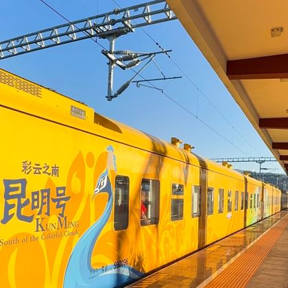 昆明+建水古城+建水文庙+和顺古镇景区+腾冲热海风景区+北海湿地+天坑+沧源崖画+翁丁原始部落+普洱故山·野鸭塘河谷咖啡庄园+普洱茶马古道遗址公园+野象谷+湄公河星光夜市9日8晚自由行 昆明+建水古城+建水文庙+和顺古镇景区+腾冲热海风景区+北海湿地+天坑+沧源崖画+翁丁原始部落+普洱故山·野鸭塘河谷咖啡庄园+普洱茶马古道遗址公园+野象谷+湄公河星光夜市9日8晚自由行