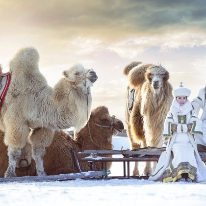 张家口+坝上+承德5日4晚私家团 张家口+坝上+承德5日4晚私家团