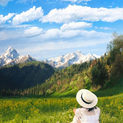 新疆乌鲁木齐+北疆7日6晚跟团游 新疆乌鲁木齐+北疆7日6晚跟团游