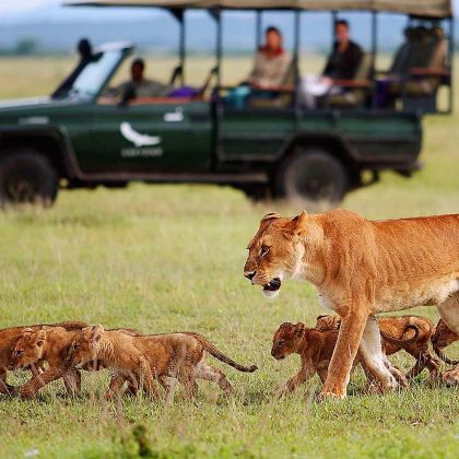 肯尼亚+南非11日9晚私家团 肯尼亚+南非11日9晚私家团